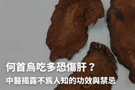 何首烏功效禁忌